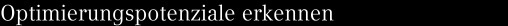 Optimierungspotenziale erkennen