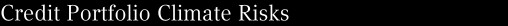 Credit Portfolio Climate Risks