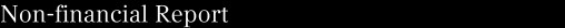 Non-financial Report