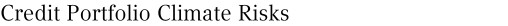 Credit Portfolio Climate Risks