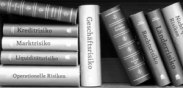 risikomanagement_183x88