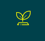 Baum