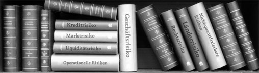 Different books with risk topics.
