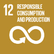 Sustainable Development Goal 12