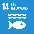 Sustainable Development Goal 14