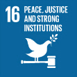 Sustainable Development Goal 16