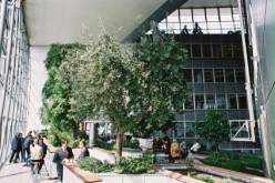 imgdb_garten_og_35_2