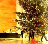 Weihnachtsaktion