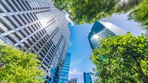 Moderne Bürogebäude umgeben von grünen Bäumen