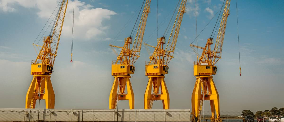 Four large yellow cranes in a harbor